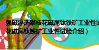 強磁浮選攀枝花磁尾鈦鐵礦工業性試驗(關于強磁浮選攀枝花磁尾鈦鐵礦工業性試驗介紹)