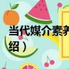 當代媒介素養教程（關于當代媒介素養教程介紹）