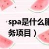 spa是什么服務項目需要多久（spa是什么服務項目）