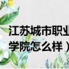 江蘇城市職業學院怎么樣好嗎（江蘇城市職業學院怎么樣）