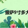 披薩9寸多大圖片參照物（披薩9寸多大）