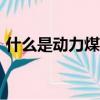 什么是動力煤2105和2103（什么是動力煤）