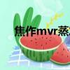 焦作mvr蒸發器廠家（mvr蒸發器廠家）