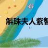 斛珠夫人紫簪是怎么回事（斛珠夫人紫簪）