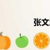 張文沁（關于張文沁介紹）