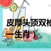 皮厚頭頂雙槍走指一生肖（皮厚頭頂雙槍走猜一生肖）