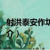 射洪泰安作坊遺址（關于射洪泰安作坊遺址簡介）