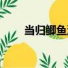 當歸鯽魚湯（關于當歸鯽魚湯介紹）