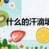 什么的汗滴填空詞語二年級（什么的汗滴）