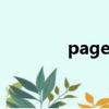 pageNo is null是什么意思
