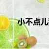 小不點兒狗（關于小不點兒狗簡介）