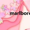 marlboro英文（marlboro怎么讀）
