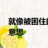 就像被困住的野獸,在摩天大樓渴求自由什么意思