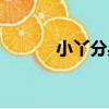 小丫分身（關于小丫分身簡介）
