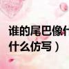 誰的尾巴像什么仿寫袋鼠的尾巴（誰的尾巴像什么仿寫）