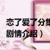 戀了愛了分集劇情介紹電視貓（戀了愛了分集劇情介紹）