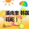 潘南奎 韓國有名的花蛇了（潘南奎為什么叫花蛇）