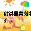 射洪縣青崗中學校（關于射洪縣青崗中學校簡介）