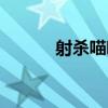 射殺喵咪（關于射殺喵咪簡介）