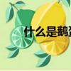 什么是鵝蛋臉 臉型（什么是鵝蛋臉）