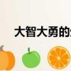 大智大勇的生肖是什么動物（大智大勇）