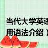 當代大學英語實用語法（關于當代大學英語實用語法介紹）