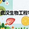 武漢生物工程學院是幾本是一本二本還是三本
