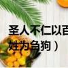 圣人不仁以百姓為芻狗下一句（圣人不仁以百姓為芻狗）
