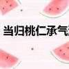 當歸桃仁承氣湯（關于當歸桃仁承氣湯介紹）