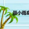 聶小雨身份（聶小雨黑皮衣事件）