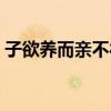 子欲養而親不待（關于子欲養而親不待介紹）