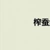 榨蠶絲是什么絲（榨蠶絲）