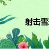 射擊雪球（關于射擊雪球簡介）