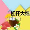 杠桿大結局劇情介紹（杠桿大結局）