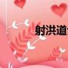 射洪道士（關于射洪道士簡介）