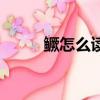 鱖怎么讀拼音怎么寫（鱖怎么讀）
