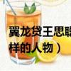 翼龍貸王思聰是什么樣的人物（王思聰是什么樣的人物）