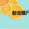 射擊僵尸5（關于射擊僵尸5簡介）