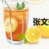 張文揺（關于張文揺介紹）