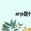 arp是什么的縮寫（arp是什么）