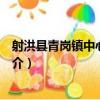 射洪縣青崗鎮中心小學校（關于射洪縣青崗鎮中心小學校簡介）