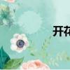 開花弓是什么（開花弓）