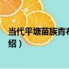 當代平塘苗族青布百褶裙（關于當代平塘苗族青布百褶裙介紹）