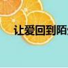 讓愛回到陌生歌詞（讓愛回到陌生原唱）