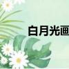 白月光畫七txt下載（白月光畫七）