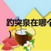 趵突泉在哪個地方哪個省哪個市（趵突泉在哪）