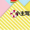 小主駕到（關于小主駕到簡介）