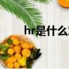 hr是什么意思時間（hr是什么意思）