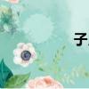 子月（關于子月介紹）