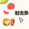 射擊條件（關于射擊條件簡介）